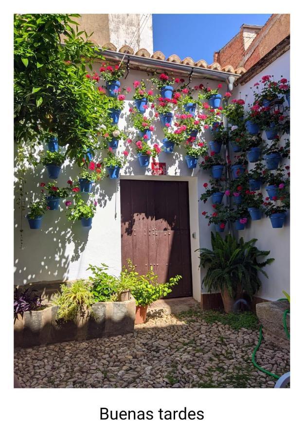 Casa Rural "Laplaza23" Herrera del Duque Eksteriør bilde