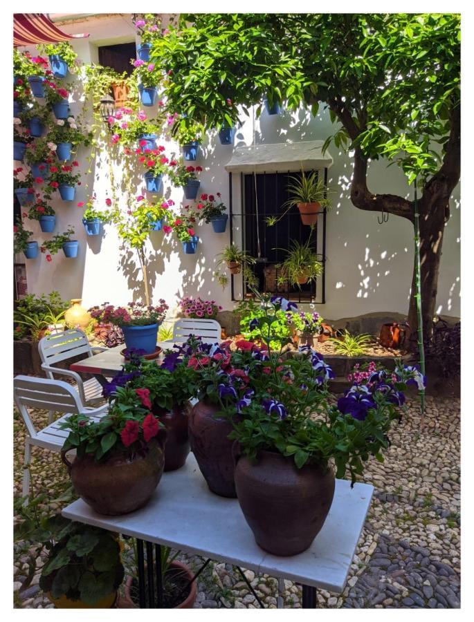 Casa Rural "Laplaza23" Herrera del Duque Eksteriør bilde