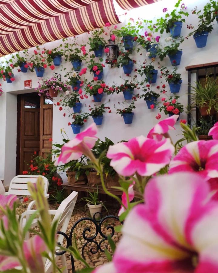 Casa Rural "Laplaza23" Herrera del Duque Eksteriør bilde