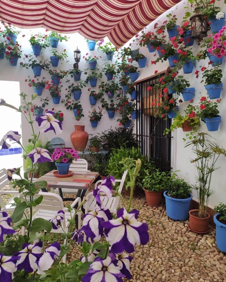 Casa Rural "Laplaza23" Herrera del Duque Eksteriør bilde